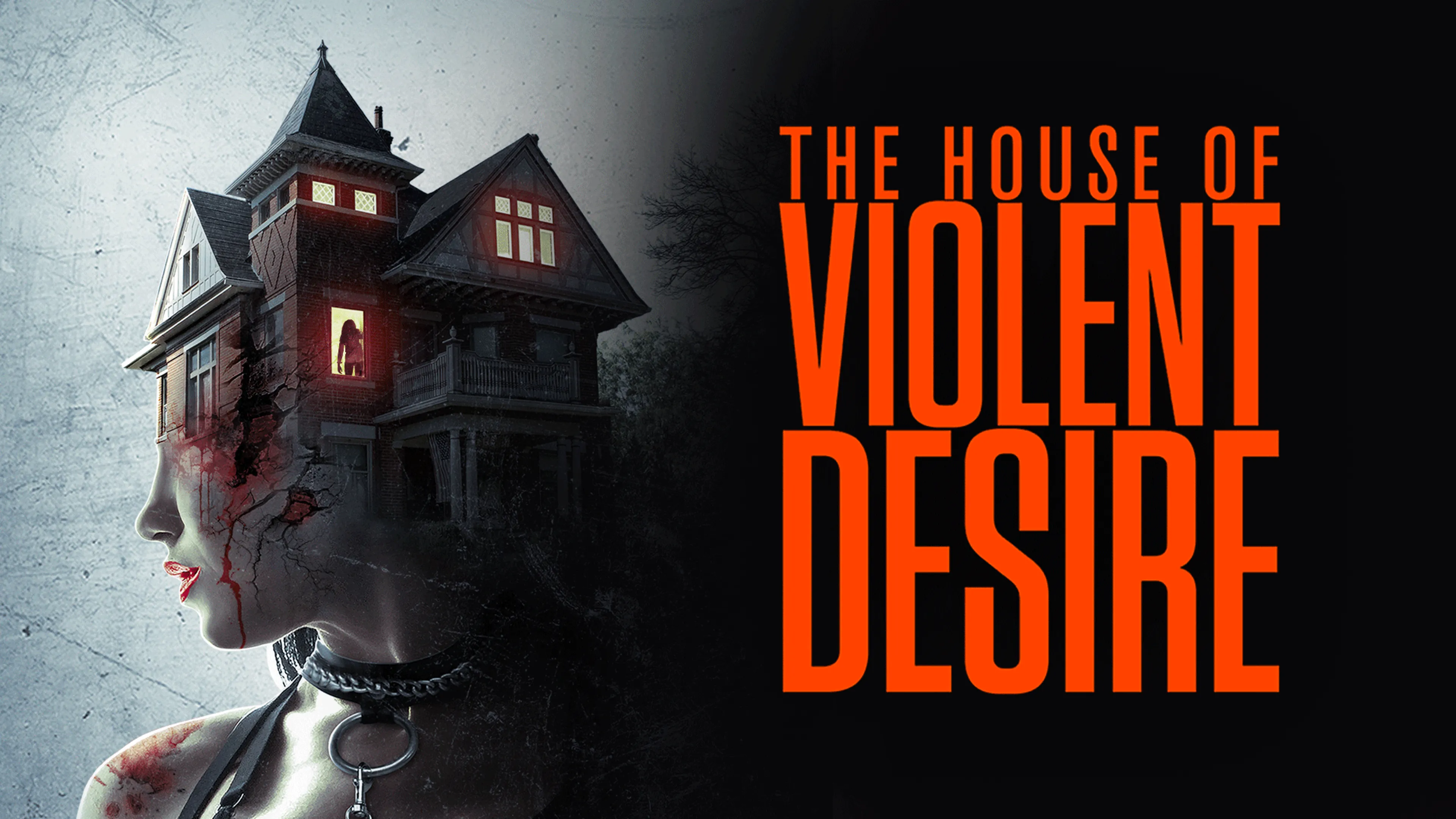 The House of Violent Desire poster